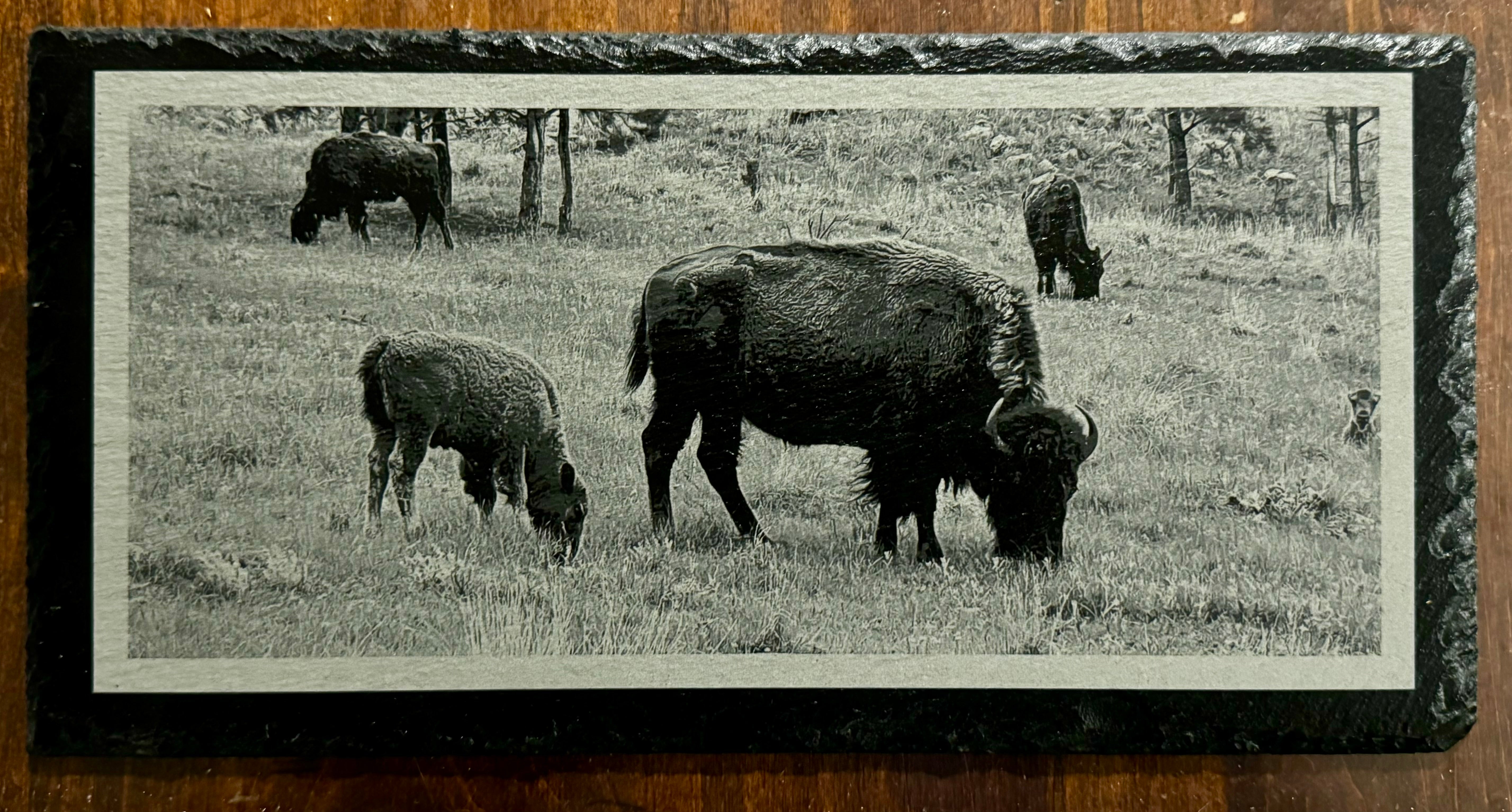 Bison and Baby in Yellowstone - Magnetic Mount Pellet Stove Decorative Slate Insert for Harman P Series - Limited to 100