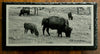 Bison and Baby in Yellowstone - Magnetic Mount Pellet Stove Decorative Slate Insert for Harman P Series - Limited to 100