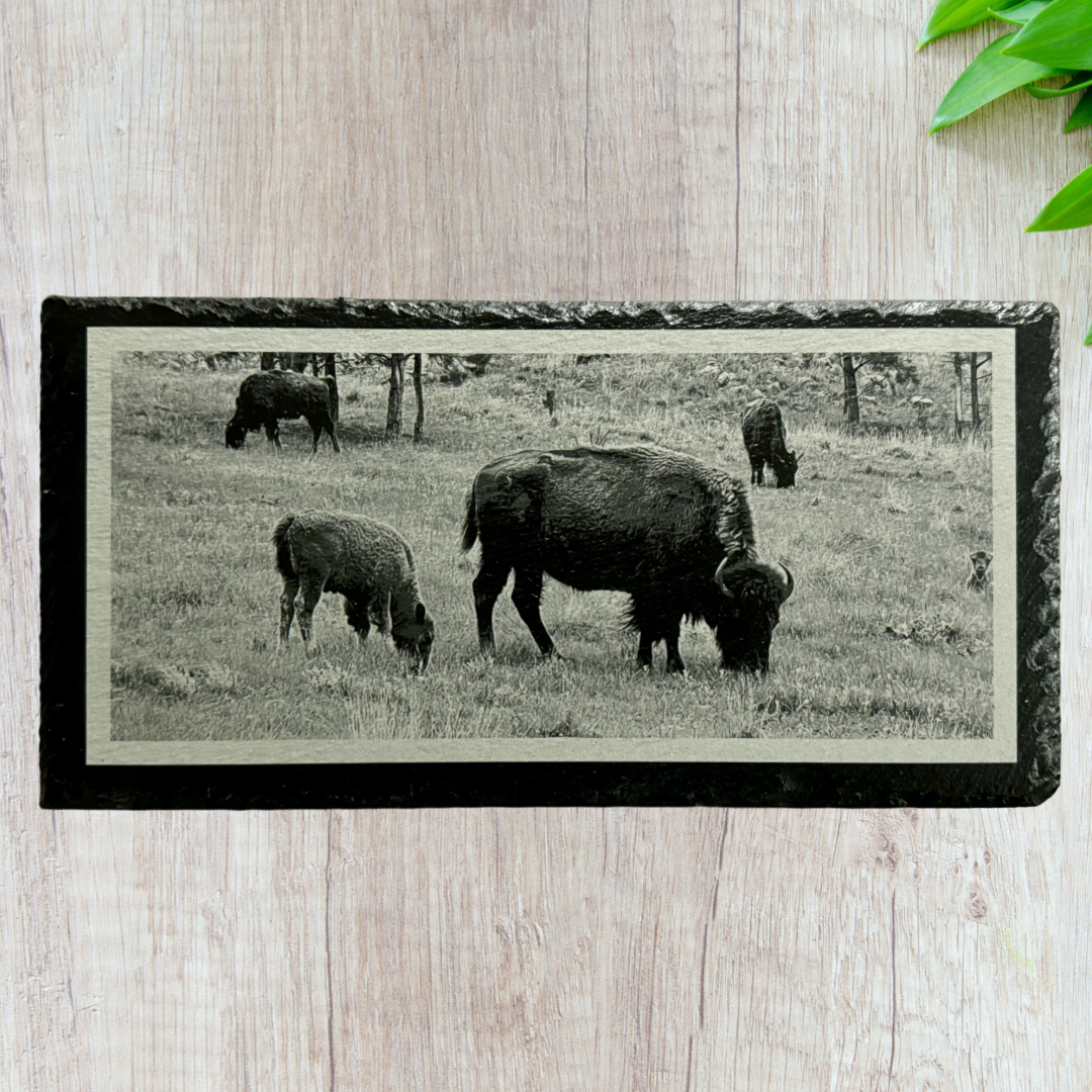 Bison and Baby in Yellowstone - Magnetic Mount Pellet Stove Decorative Slate Insert for Harman P Series - Limited to 100